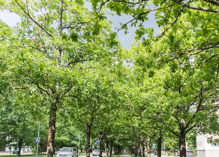 Tammsaare 36 - 600m, Free Parking Apartament